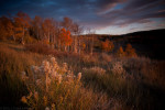 Phelan_120930_0070