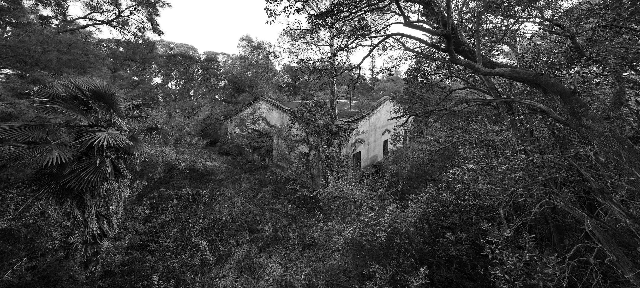 Martin Fierro - main house aperture, fortabat