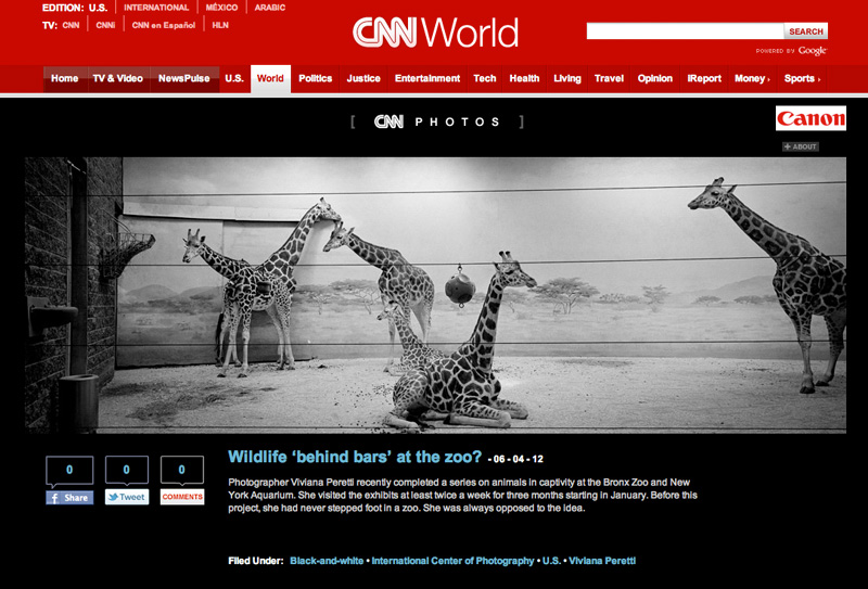 Wildlife? about animals in captivity in New York featured on CNN on June 2012. See more at: http://cnnphotos.blogs.cnn.com/2012/06/04/wildlife-behind-bars-at-the-zoo/