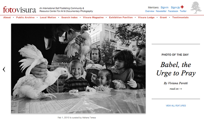 FotoVisura’s Photo of the Day, on February 1st 2013, from my series Babel, the Urge to Pray celebrating Kapparot amongst a family of Hasidic Jews in Williamsburg, Brooklyn, New York.