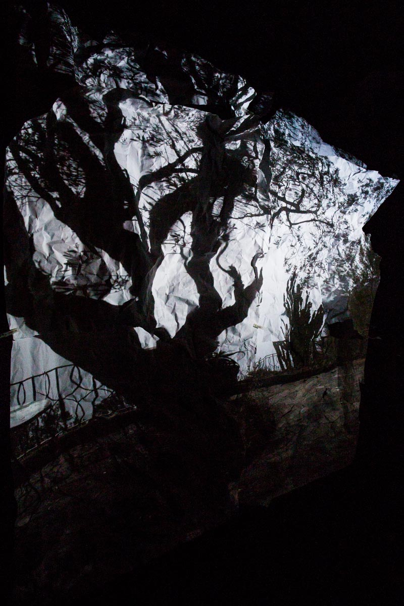 Nostalgia in blue The Mediterranean and an olive tree reflected on some sheets of paper hanging down in a camera obscura I built in a summer chalet at the bottom of a garden at the Bogliasco Foundation in Italy. Bogliasco, Italy, March 2017.