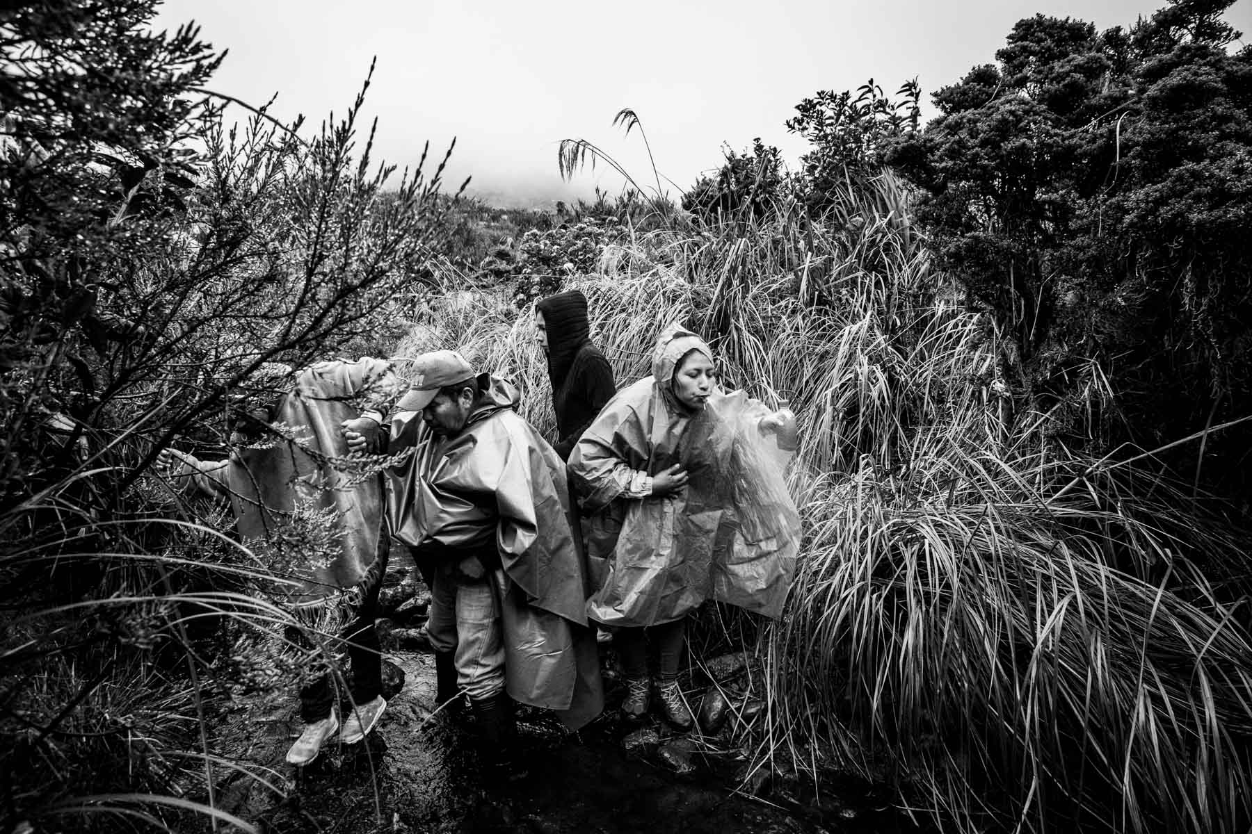 Indigenous Legacy Indigenous people from the Nasa community of Tacueyó spitting coca leaves and alcohol during the celebration of a mayor ritual in the Páramo de Pisnos. Cauca region, Colombia, January 2019.