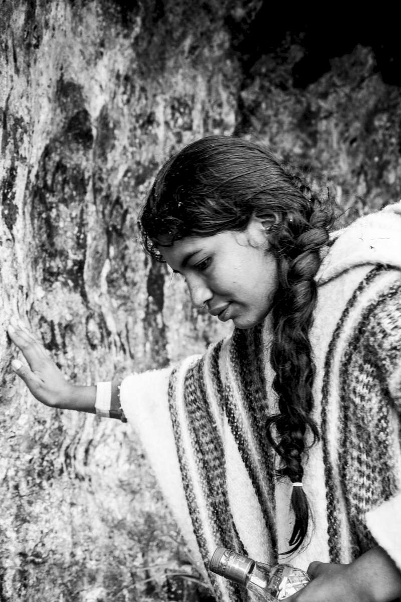 Indigenous Legacy Young woman from the Nasa indigenous community makes an offer in front of a sacred place in the Páramo de Pisnos as part of the cleansing ritual of the 'Khabu fxizehnxi' ('Refreshing of the Batons”), one of the five main rituals of the Nasa indigenous people of the Cauca region in Colombia. Cauca region, Colombia, January 2019.