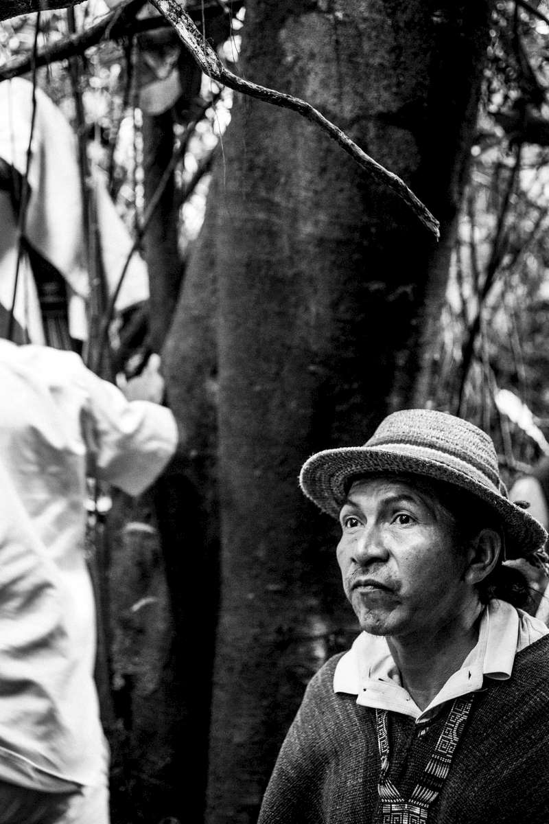 Saakhelú, Cerro Tijeras, Cauca, Colombia, Agosto 2018. (© Viviana Peretti, 2018). Saakhelú, Cerro Tijeras, Cauca, Colombia, Agosto 2018.