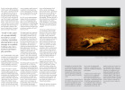 FotoFreo-Oculi_REVIEW-2