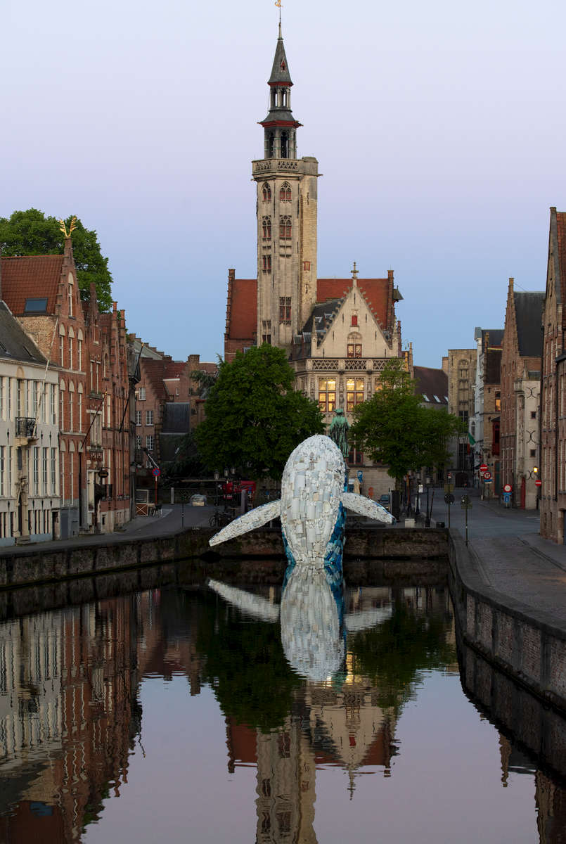 Triënnale 2018; STUDIOKCA - 'Skyscraper (the Bruges Whale)'_photo by Chuck Choi