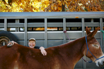 Tessa Roberts laughs as she brushes her mule, Charlie, during the annual Shawnee mule ride in Shawnee National Forest at High Knob Campground near Equality, Ill. The event draws hundreds of riders and mule enthusiasts from across and outside the country.