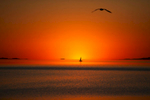 A sailboat glides across a sunset over Salt Lake City, Utah.