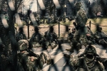 NATL-GUARD-JPY-007-NS14
